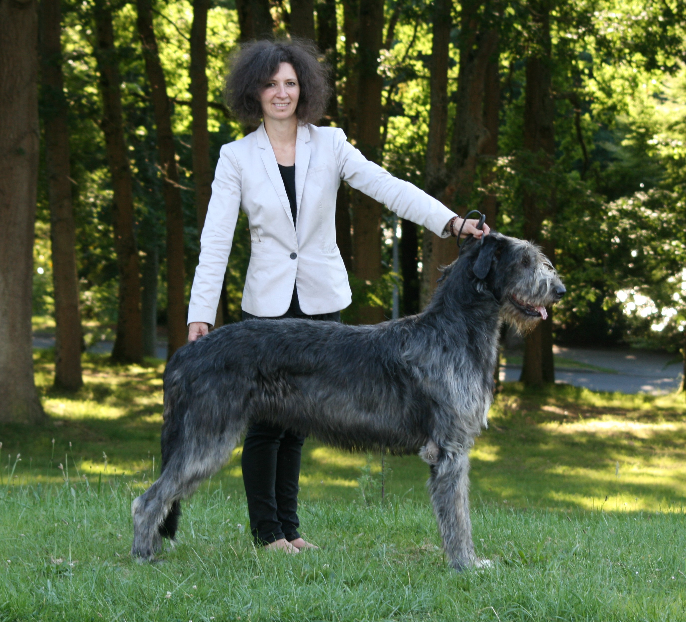 L Affixe Societe Centrale Canine