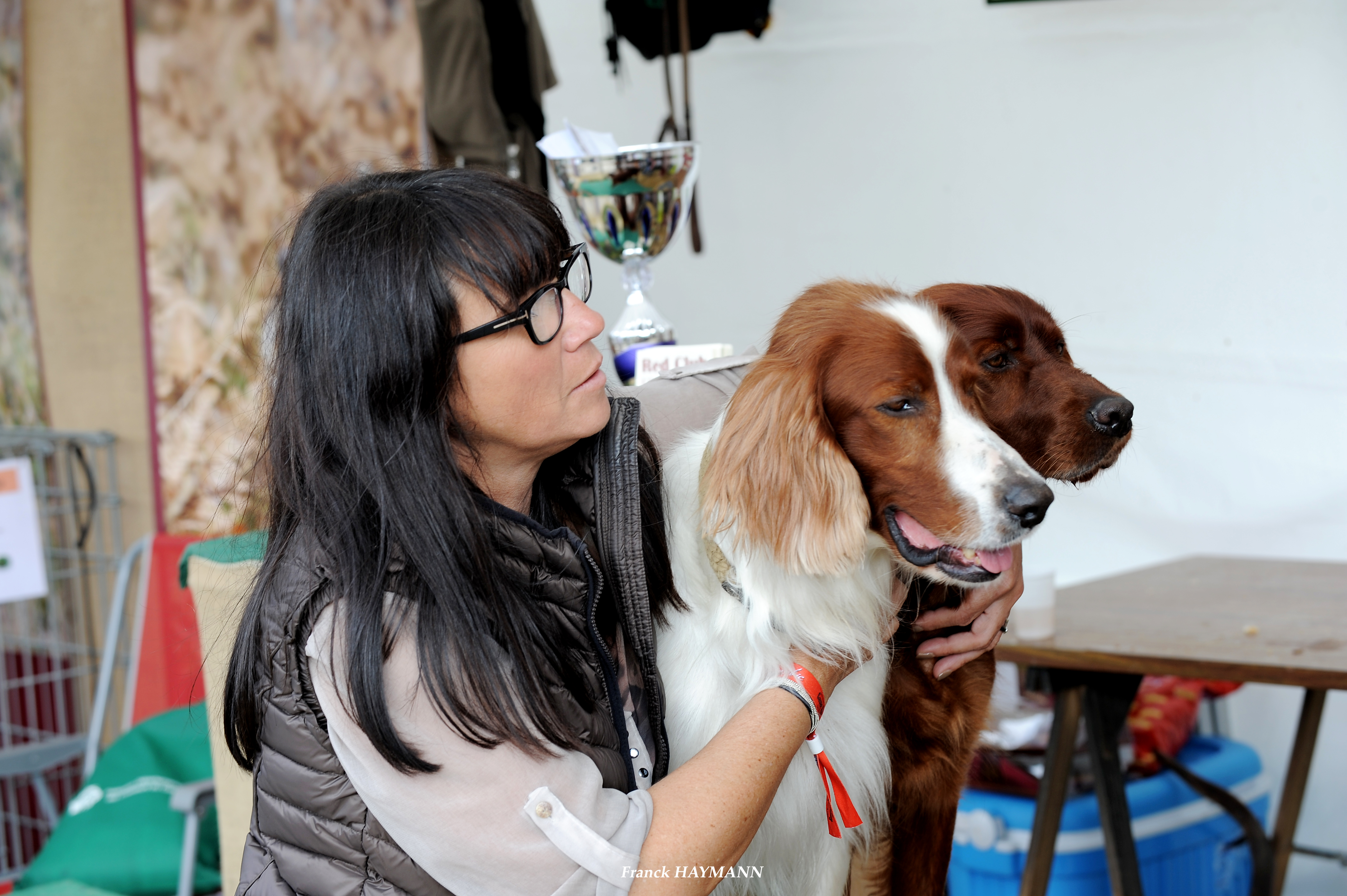 Il Ne M Ecoute Plus Quand Il Croise Un Autre Chien Societe Centrale Canine