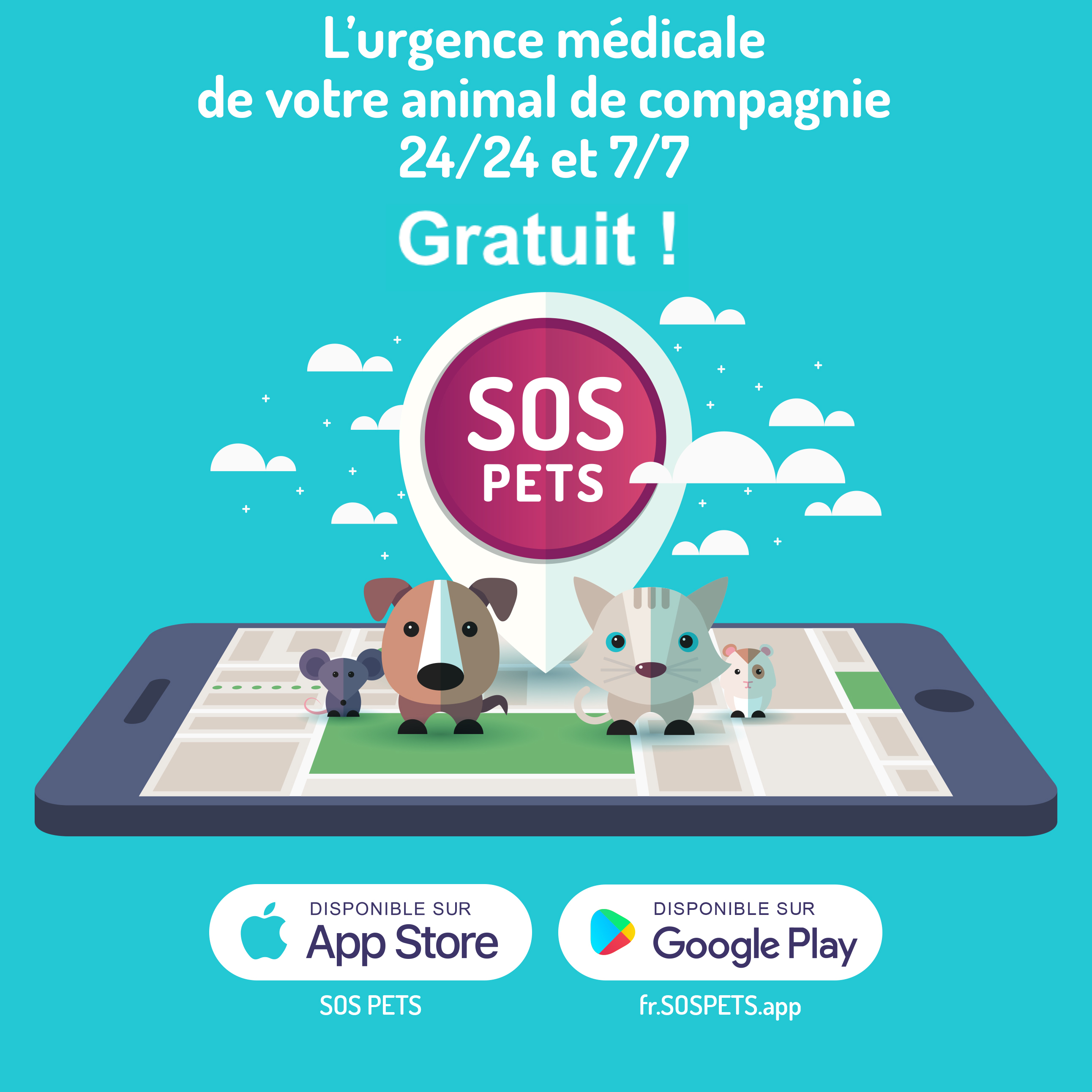 SOS PETS : L'APPLI qui gère l'urgence médicale des animaux de compagnie ...