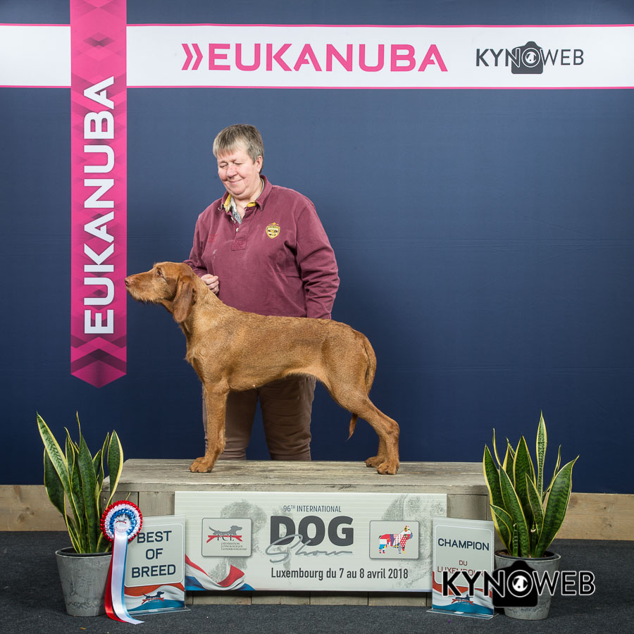 centrale canine luxembourg