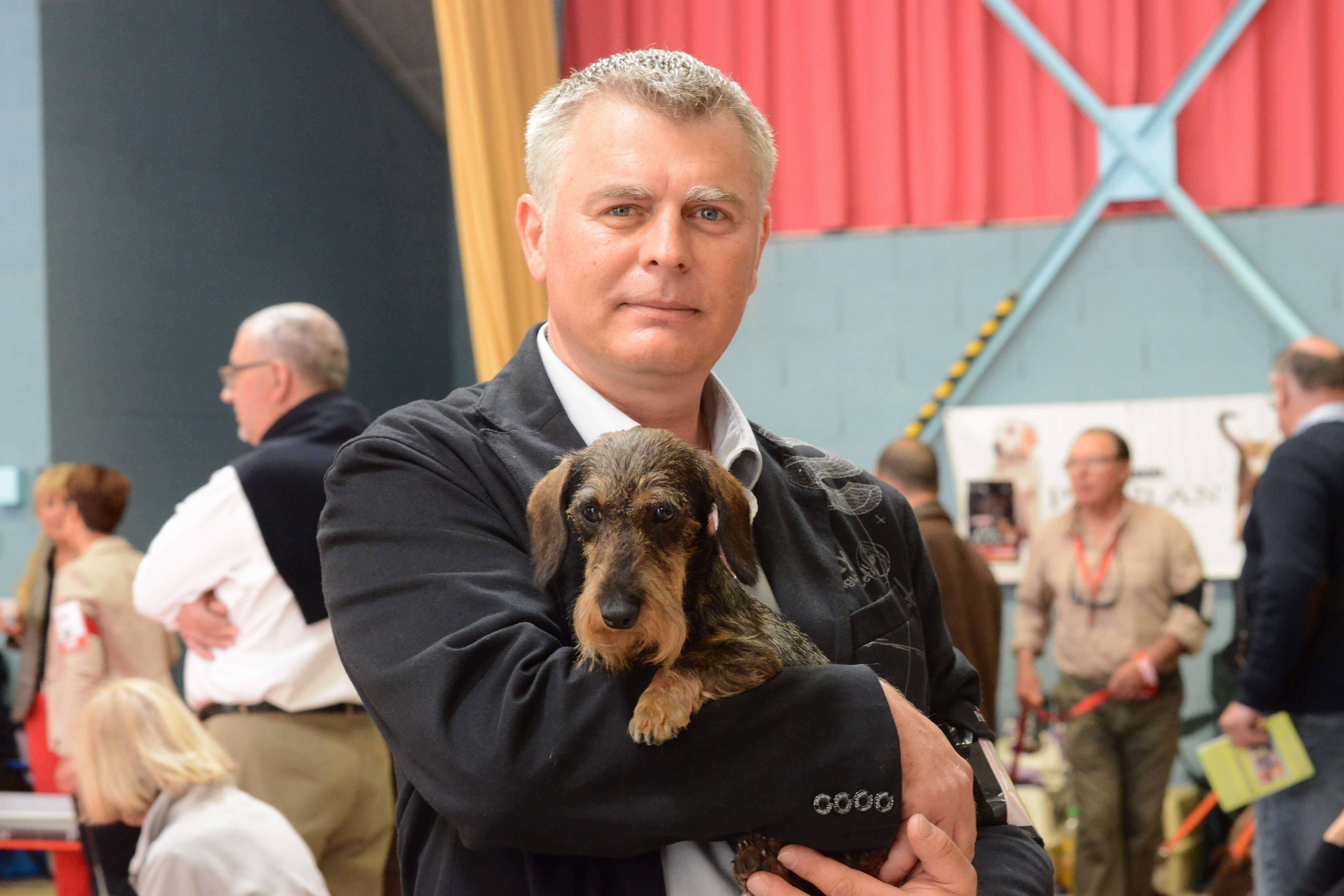 Les races de chiens de grande taille, fiche pédagogique gratuite à