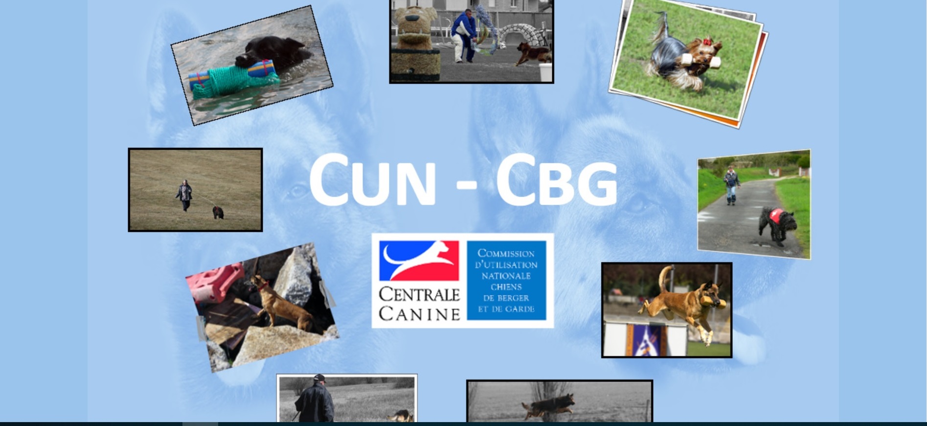 Communique De La Cun Cbg Societe Centrale Canine cun cbg calendrier 2021