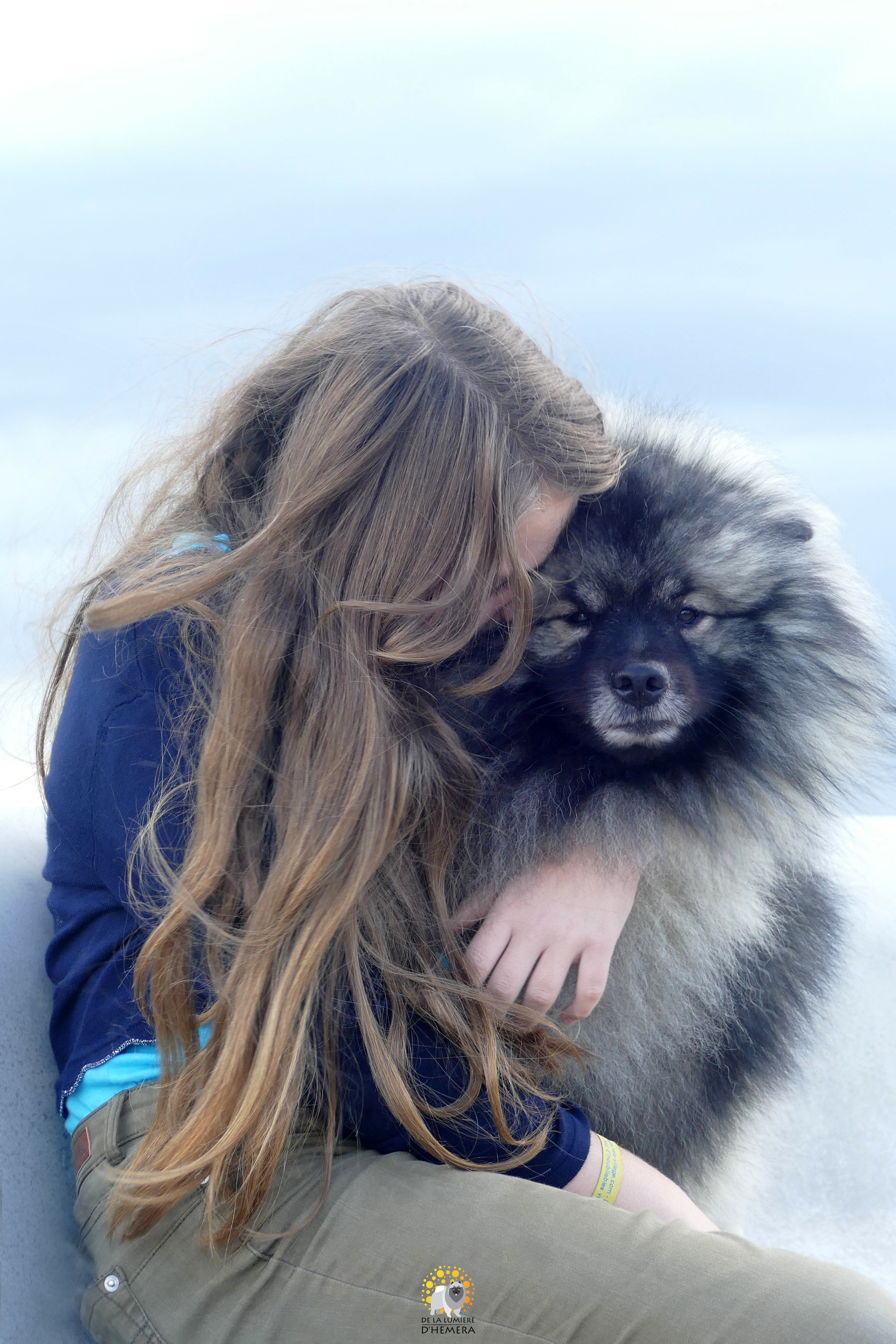 Decouvrez Notre Elevage Societe Centrale Canine