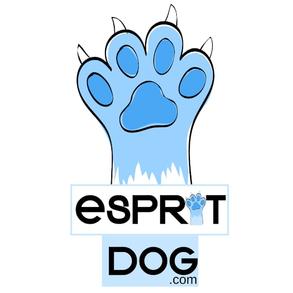 ESPRIT DOG FORMATION CHIOT DE LA HORDE DES TUTUS FOUS