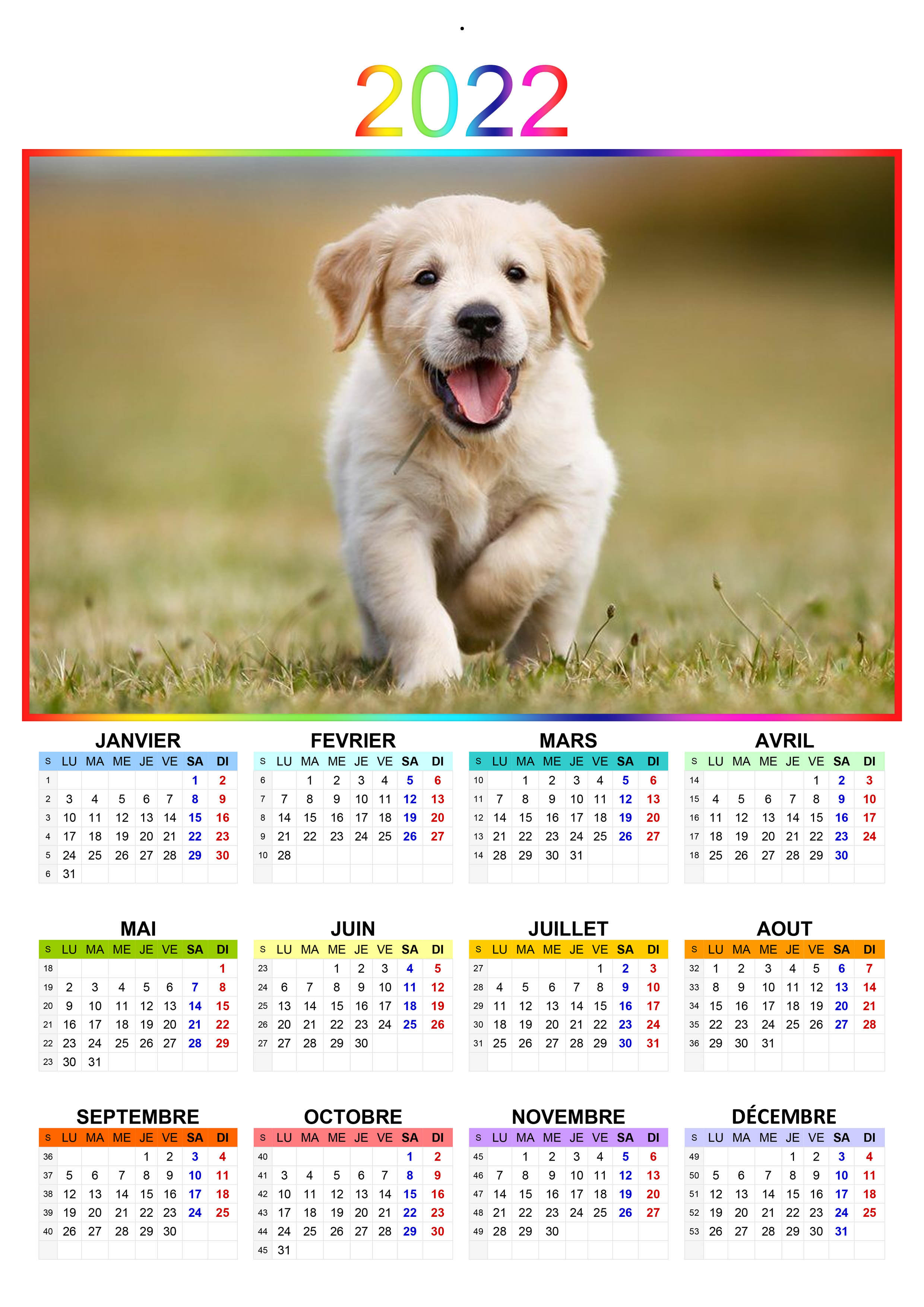 Cun Cbg Calendrier 2023 Calendrier Des Concours 2022 Sur Le Site De La Cun Cbg | Société Centrale  Canine Cun Cbg Calendrier 2023 Calendrier Des Concours 2022 Sur Le Site De La Cun Cbg | Société Centrale  Canine