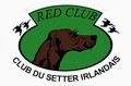 Red Club - Le club des passionnés des Setters Irlandais aller à l'accueil