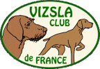 Vizsla Club de France - Club Francais du Braque Hongrois, Poil court et Poil dur aller à l'accueil