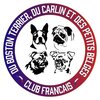 Club Français du Boston Terrier, du Carlin et des Petits Belges / CFBTC et PB aller à l'accueil