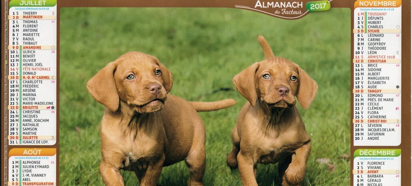 2017 Année Du N Société Centrale Canine