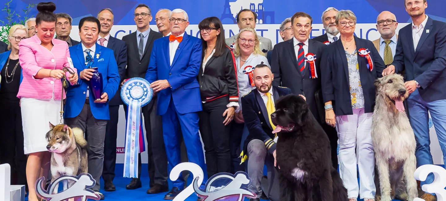 Devenir Champion De France Societe Centrale Canine