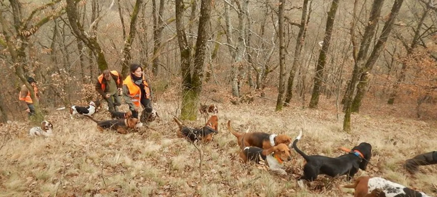 Calendrier Brevet De Chasse Scc 2022 2023