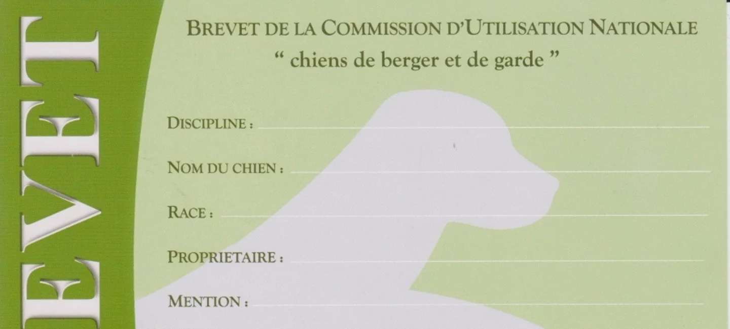 Documents Scc Societe Centrale Canine
