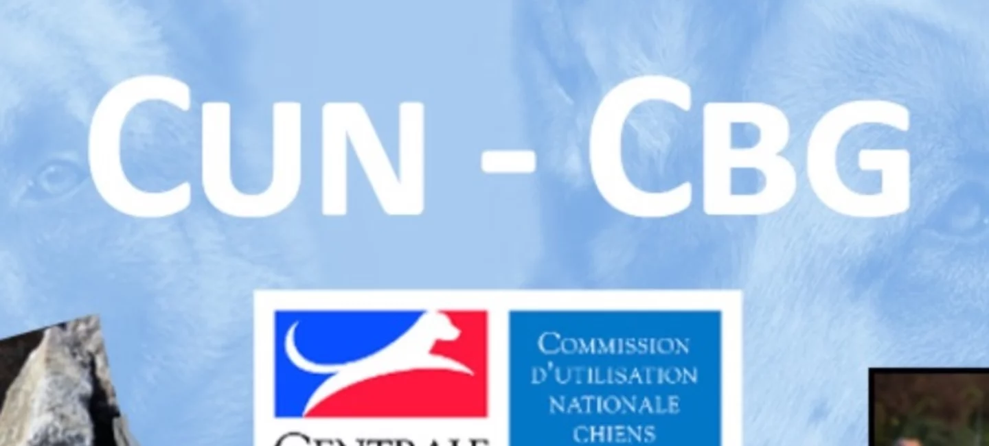Calendrier Cun Cbg 2022