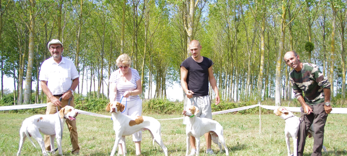 Exposition Canine 2021 Nord Pas De Calais Les Régionales d'élevage | Société Centrale Canine