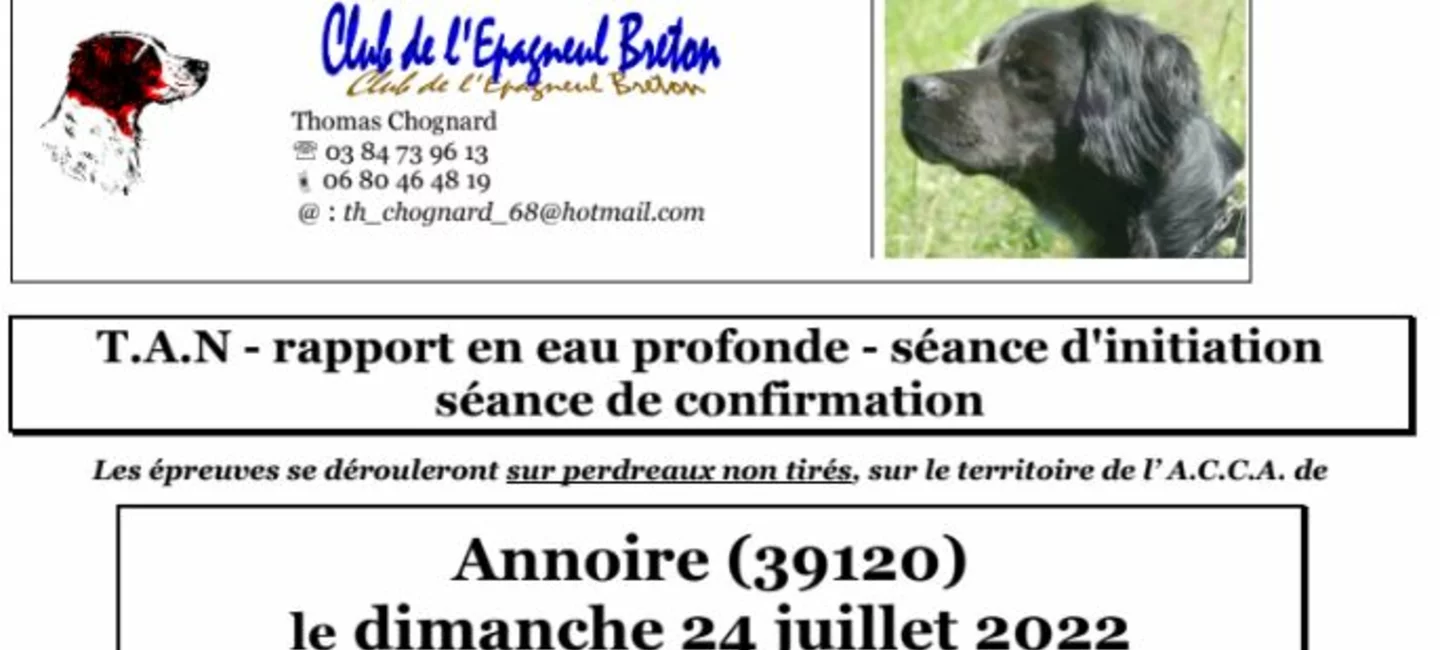 Epagneul breton, Société Centrale Canine