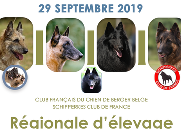Bienvenue Sur Le Site Du Cfcbb Société Centrale Canine
