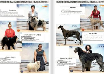 Société Centrale Canine