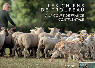 Images Societe Centrale Canine salutations