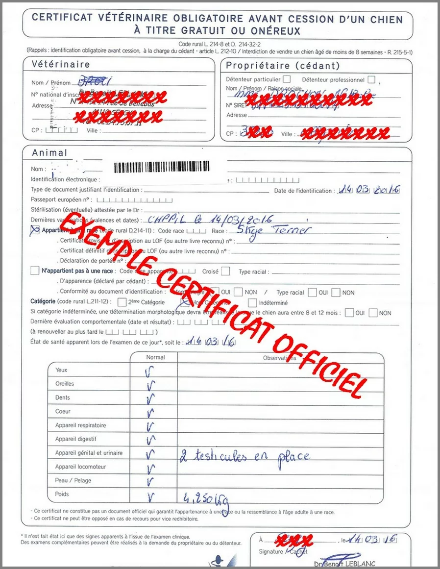 Documents A Exiger Lors De L Achat D Un Chiot Societe Centrale Canine Documents A Exiger Lors De L Achat D Un Chiot Societe Centrale Canine