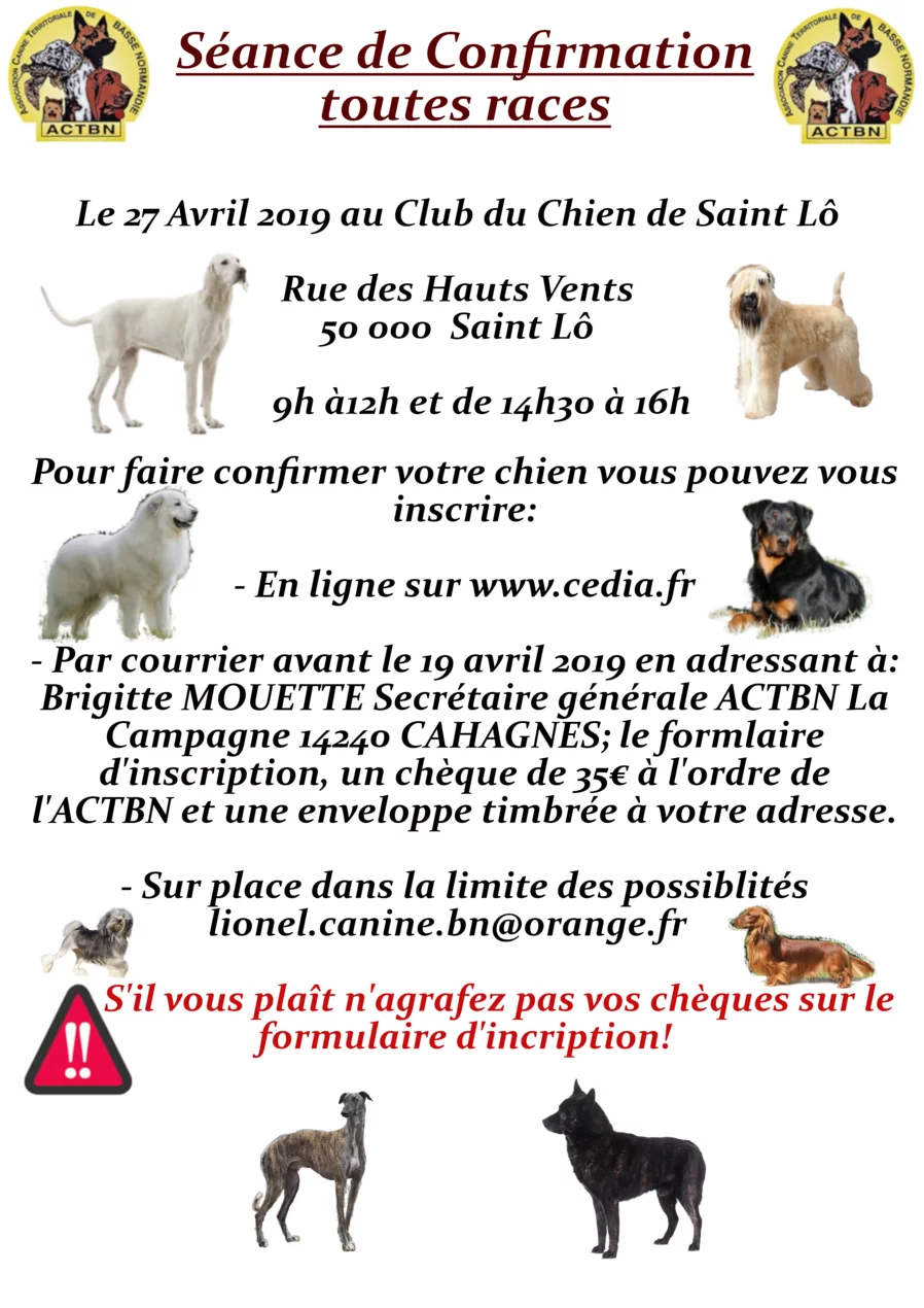 Calendrier 2022 Confirmation Chien