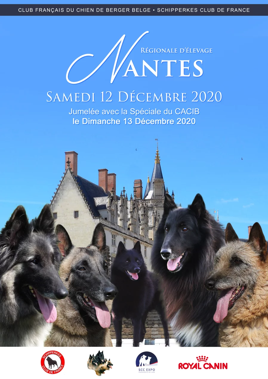 Re Nantes 2020 Annulation Societe Centrale Canine