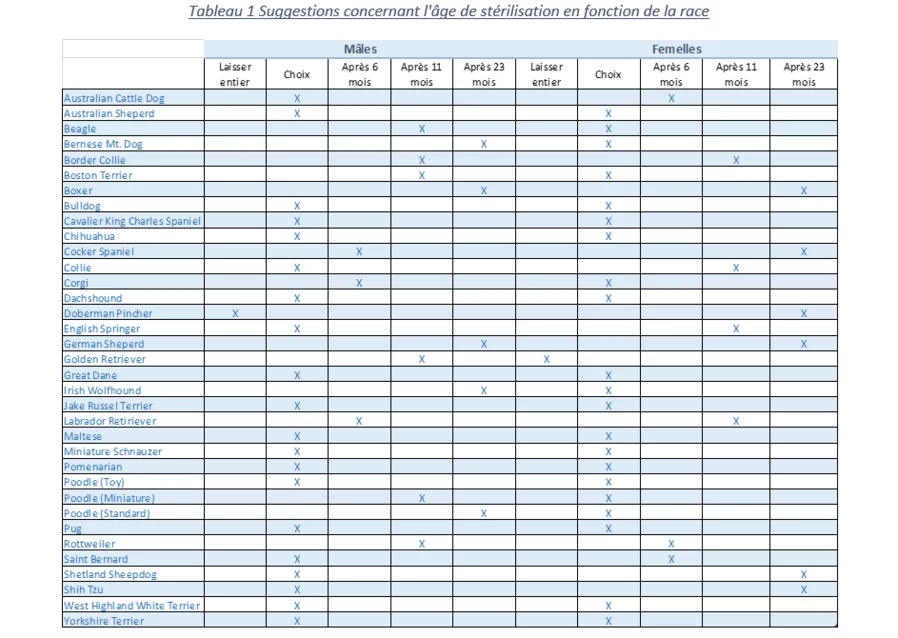 Tableau présentant des suggestions concernant l'âge de stérilisation en fonction de la race