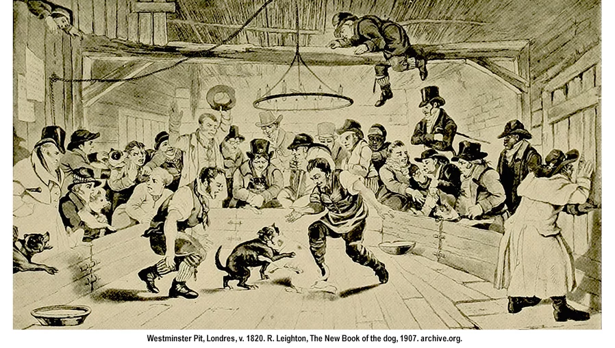 Westminster Pit, Londres, 1820