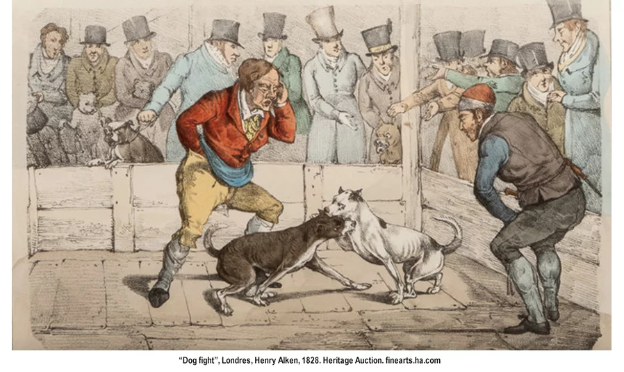 ?Dog fight?, Londres, Henry Alken, 1828