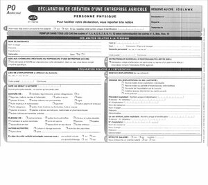 Petites Annonces Chat Chaton Comment Ne Pas Se Faire Avoir