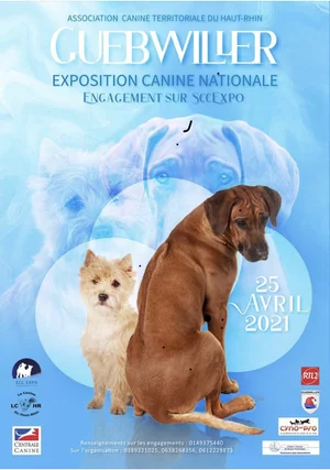 Calendrier Confirmation Lof 2022 Haut Rhin