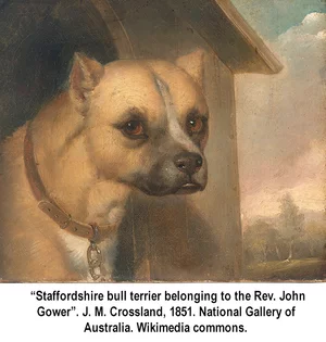?Staffordshire bull terrier belonging to the Rev. John Gower?. J. M. Crossland, 1851. 