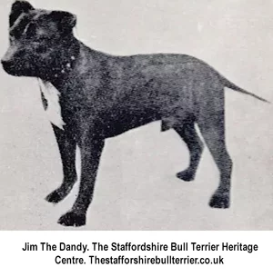 Jim The Dandy. 