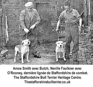 Amos Smith avec Butch, Neville Faulkner avec O?Rooney