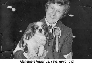 Alansmere Aquarius. 
