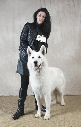 Berger Blanc Suisse Societe Centrale Canine