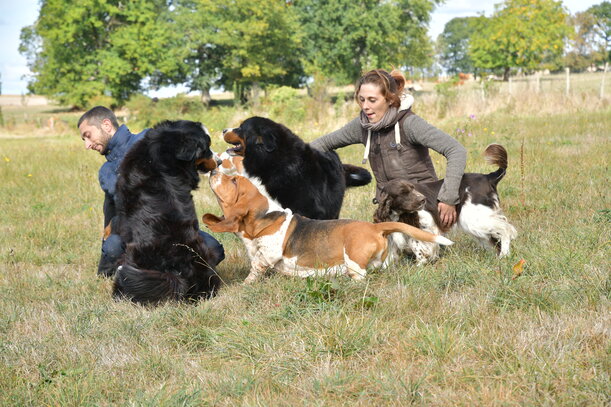 Le Haras De La Vergne Une Sélection De Haute Volée